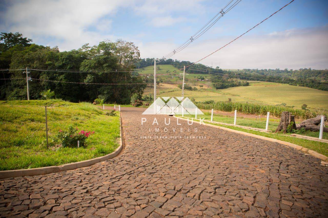 Chácara à Venda, 1000 M² Por R$ 210.000,00 - Linha Ipiranga - São Miguel do Iguaçu/pr | PAULUK IMÓVEIS | Portal OBusca