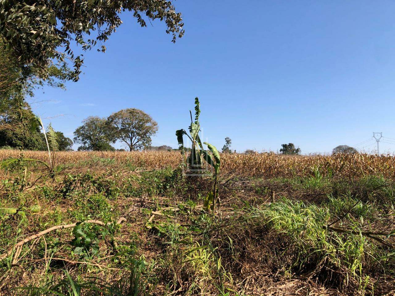 Chácara à venda Em Santa Terezinha de Itaipu no Pr. | IGUASSU INVEST | Portal OBusca