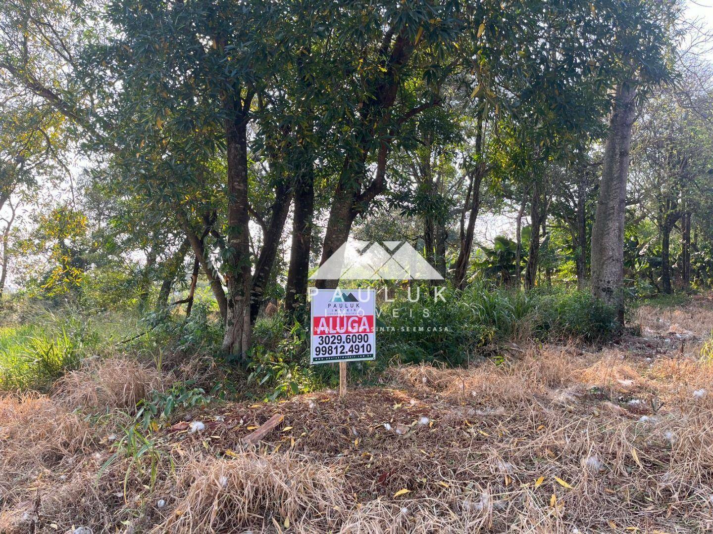 Terreno para Alugar, 3329 M² Por R$ 6.000/mês - Jardim Tarobá - Foz do Iguaçu/pr | PAULUK IMÓVEIS | Portal OBusca