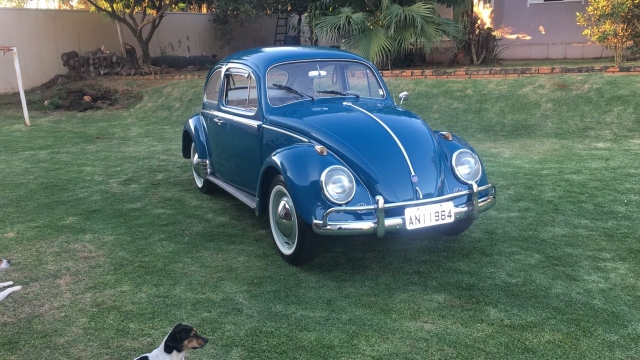 Volkswagen FUSCA 1200 1964 em Paraná - SóCarrão