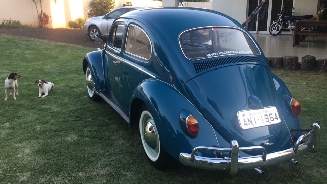 Volkswagen FUSCA 1200 1964 em Paraná - SóCarrão